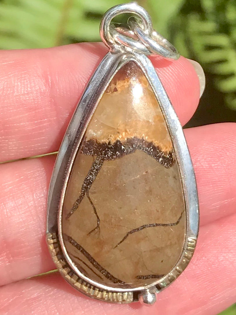 Septarian (Dragon's Stone) Pendant - Morganna’s Treasures 