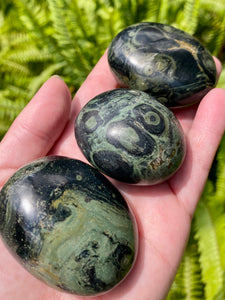 Medium Kambaba Jasper Palm Stones - Morganna’s Treasures 