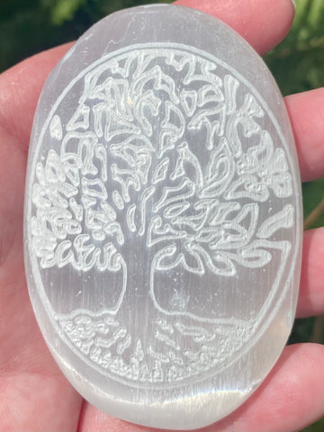 Large Selenite Tree of Life Palm Stone - Morganna’s Treasures 