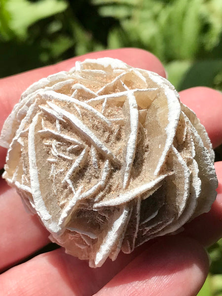 Large Selenite Desert Rose Stone - Morganna’s Treasures 