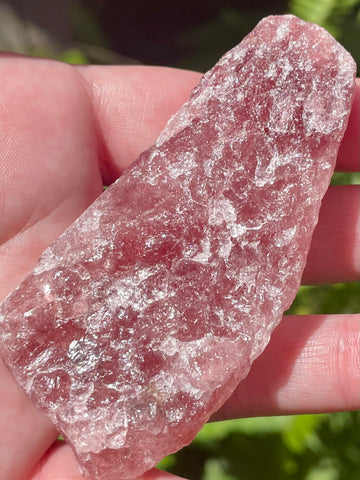 Large Rough Cherry Tanzurine Stone - Morganna’s Treasures 