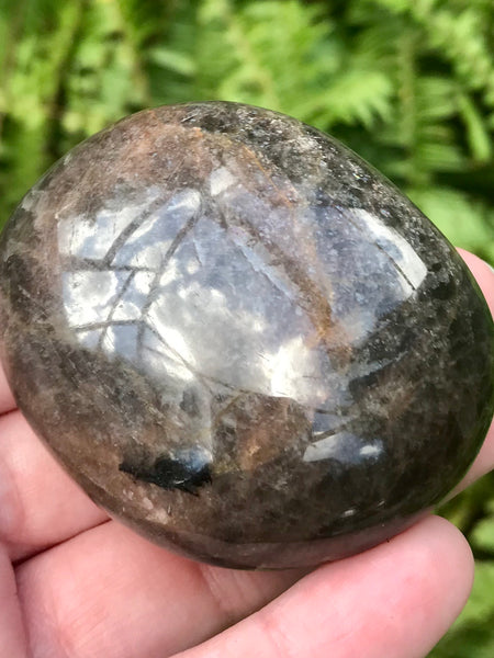 Large Larvikite (Black Moonstone) Palm Stone - Morganna’s Treasures 