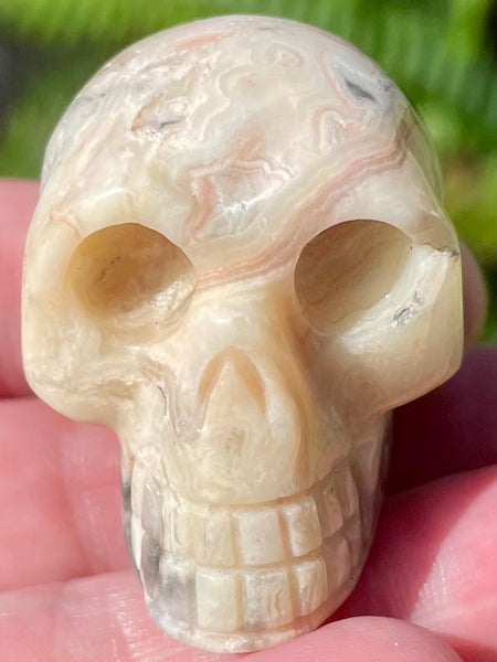 Carved Crazy Lace Agate Skull - Morganna’s Treasures 