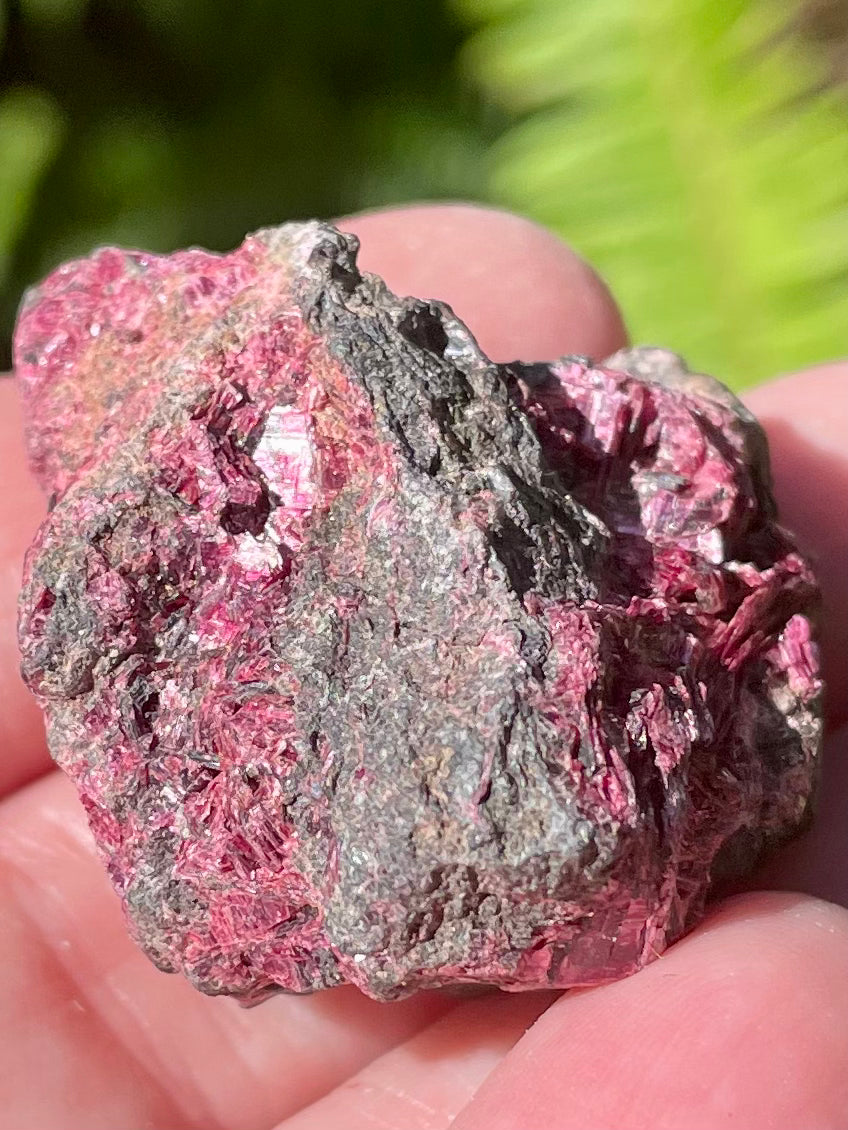 Erythrite Palm Stone from Morocco - Morganna’s Treasures 