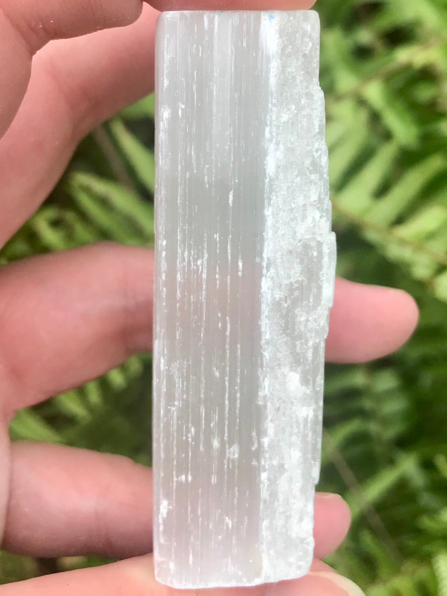 Selenite Wand - Morganna’s Treasures 