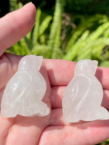 Clear Quartz Carved Birds - Morganna’s Treasures 