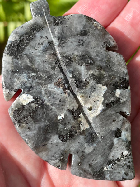 Larvikite (Black Moonstone) Leaf - Morganna’s Treasures 