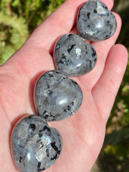 Larvikite (Black Moonstone) Heart Palm Stones - Morganna’s Treasures 
