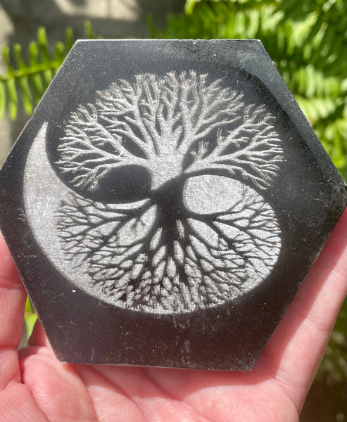 Black Onyx and Selenite Tree of Life Hexagon Charging Plate - Morganna’s Treasures 