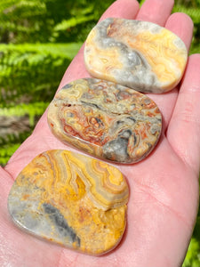 Crazy Lace Agate Palm Stones - Morganna’s Treasures 
