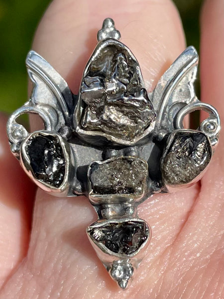 Angel Wings Meteorite Campo del Cielo and Rough Shungite Ring Size 7.5 - Morganna’s Treasures 