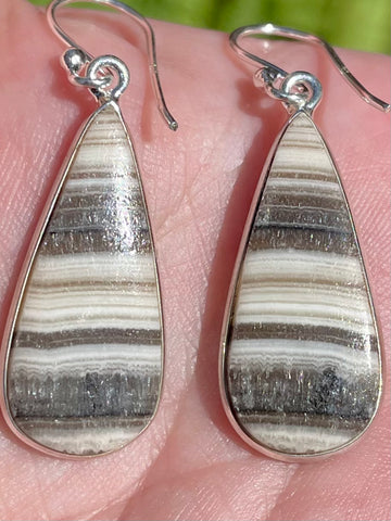 Zebra Jasper Earrings - Morganna’s Treasures 