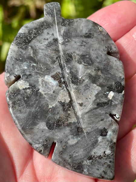 Larvikite (Black Moonstone) Leaf - Morganna’s Treasures 