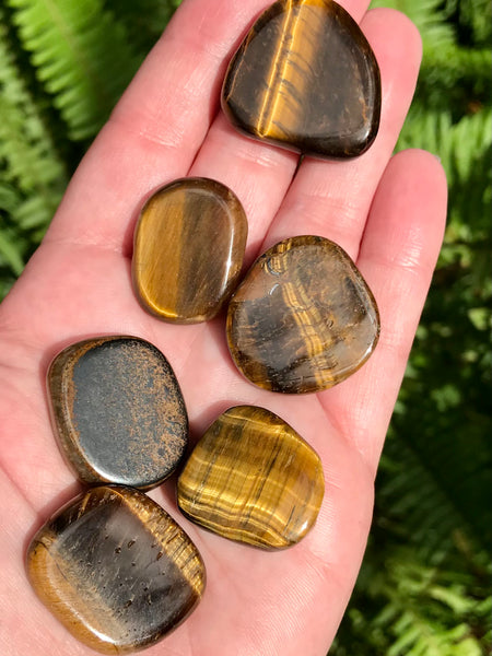 Tigers Eye Medallions - Morganna’s Treasures 