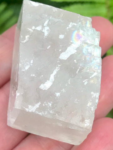 Optical Calcite - Viking Stone - Palm Stone - Morganna’s Treasures 