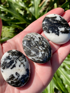 Zebra Jasper Palm Stones - Morganna’s Treasures 