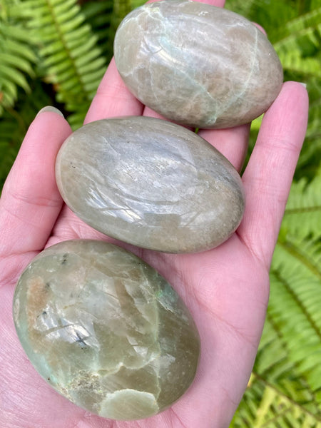 Medium Garniérite Palm Stone - Morganna’s Treasures 