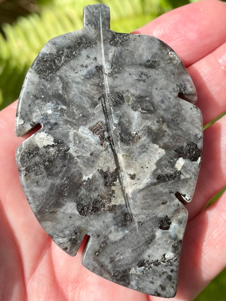 Larvikite (Black Moonstone) Leaf - Morganna’s Treasures 