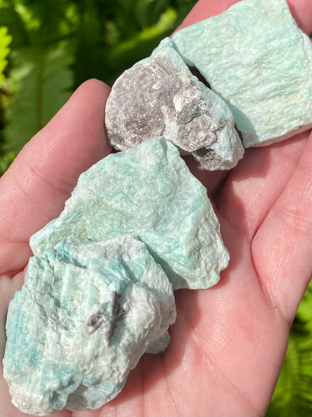 Rough Amazonite Stones - Morganna’s Treasures 