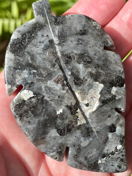 Larvikite (Black Moonstone) Leaf - Morganna’s Treasures 