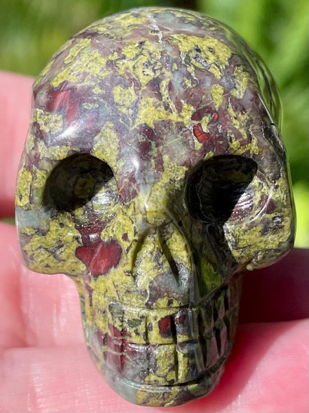 Carved Dragon Bloodstone Skull - Morganna’s Treasures 