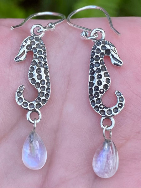 Seahorse Rainbow Moonstone Earrings - Morganna’s Treasures 