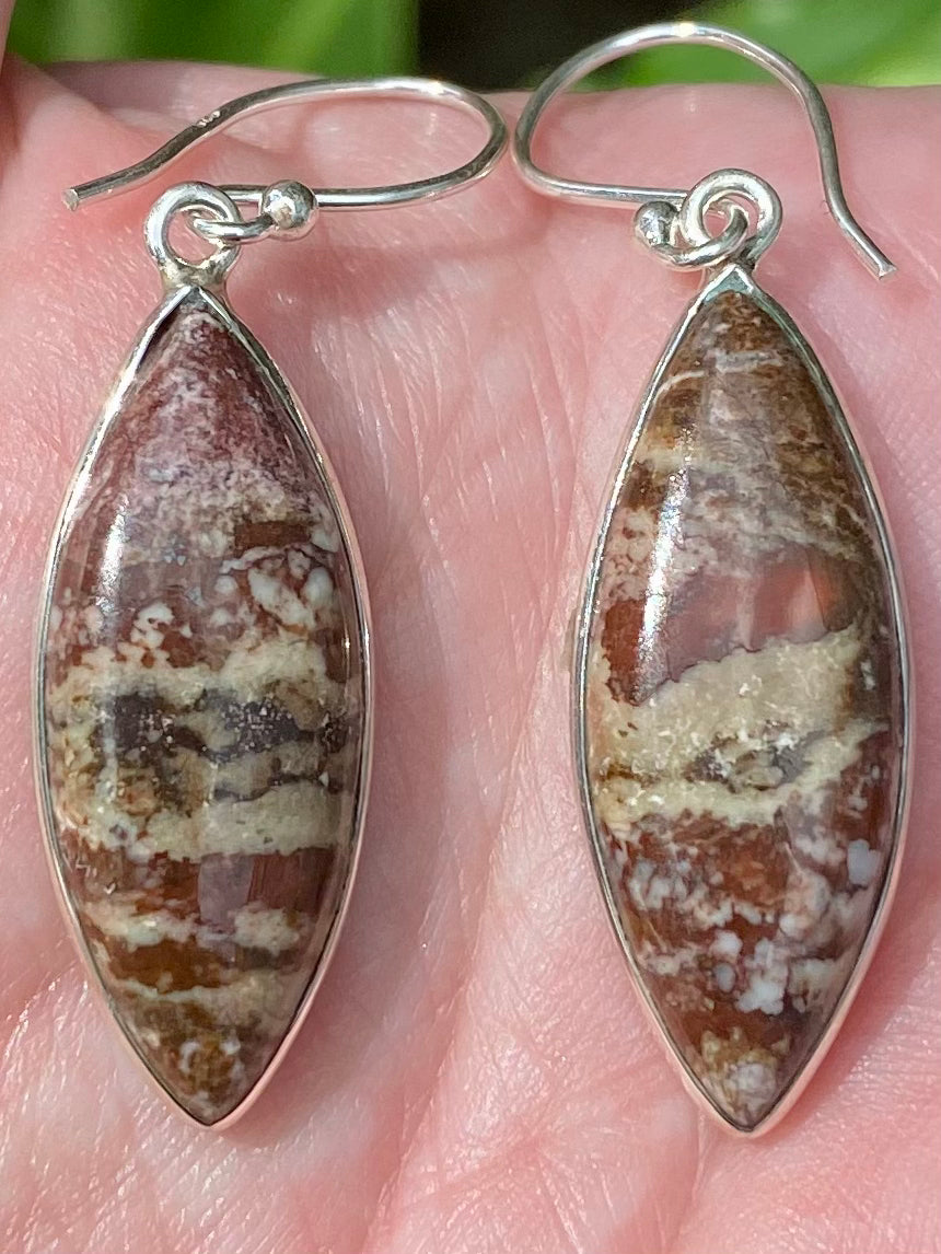 Wild Horse Jasper Earrings - Morganna’s Treasures 