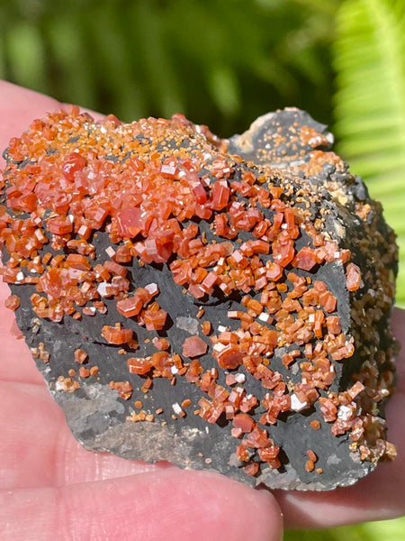 Vanadinite on Psilomelane Crystal Cluster - Morganna’s Treasures 