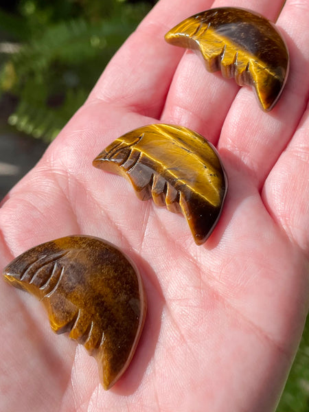 Tigers Eye Crescent Moon Palm Stone - Morganna’s Treasures 