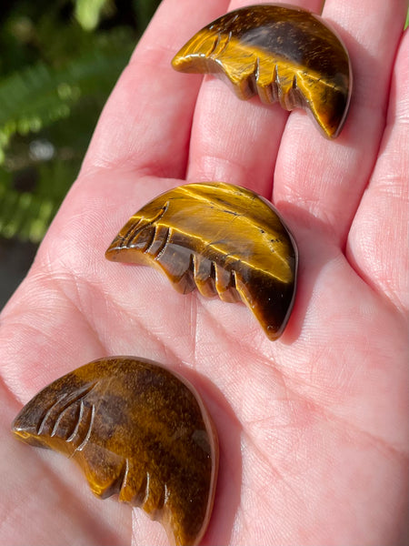 Tigers Eye Crescent Moon Palm Stone - Morganna’s Treasures 