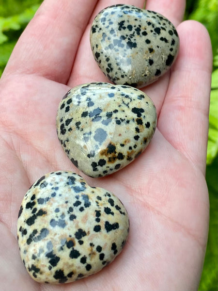 Dalmatian Jasper Heart Palm Stones - Morganna’s Treasures 