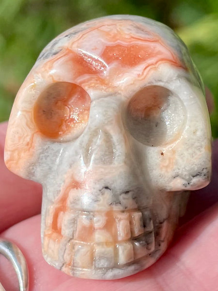 Carved Crazy Lace Agate Skull - Morganna’s Treasures 