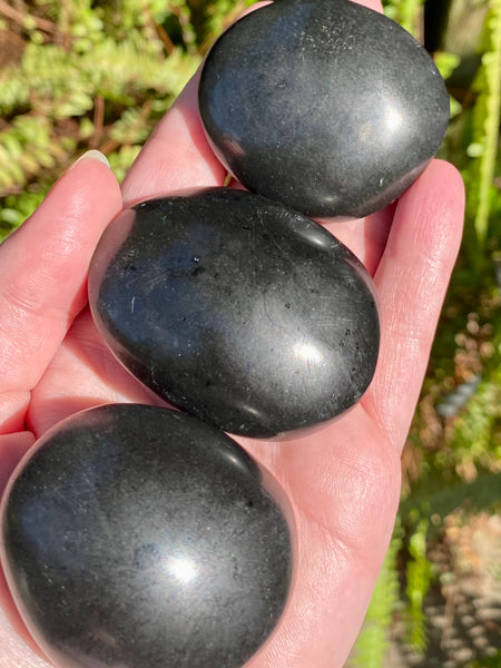 Medium Black Tourmaline Palm Stones - Morganna’s Treasures 