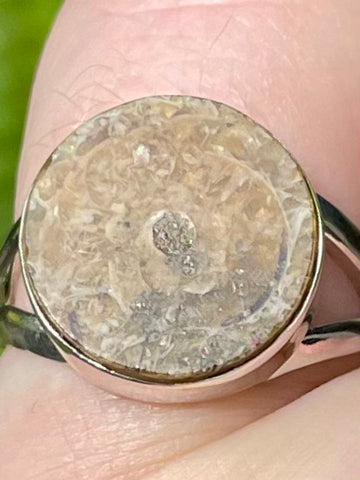 Fossil Ammonite Ring Size 6 - Morganna’s Treasures 