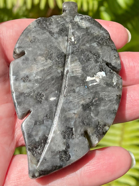 Larvikite (Black Moonstone) Leaf - Morganna’s Treasures 