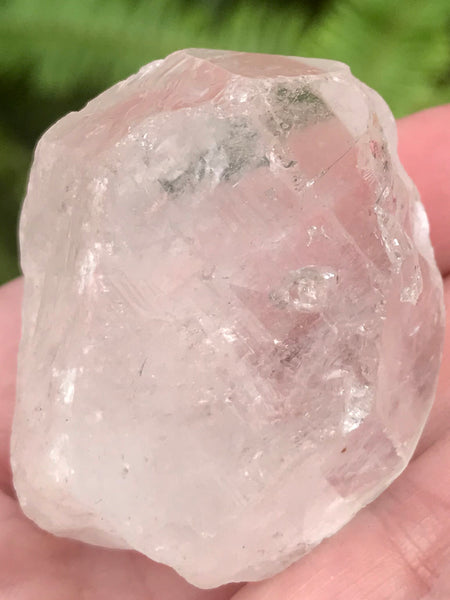 Clear Quartz Crystal Point from Canada - Morganna’s Treasures 