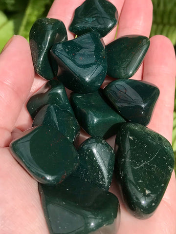 Bloodstone Tumbled Stones - Morganna’s Treasures 