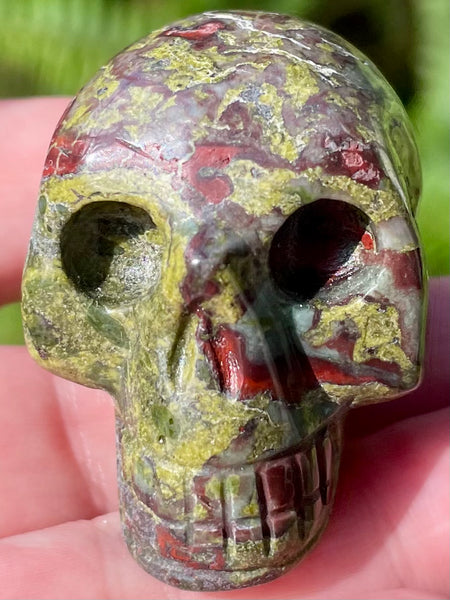 Carved Dragon Bloodstone Skull - Morganna’s Treasures 