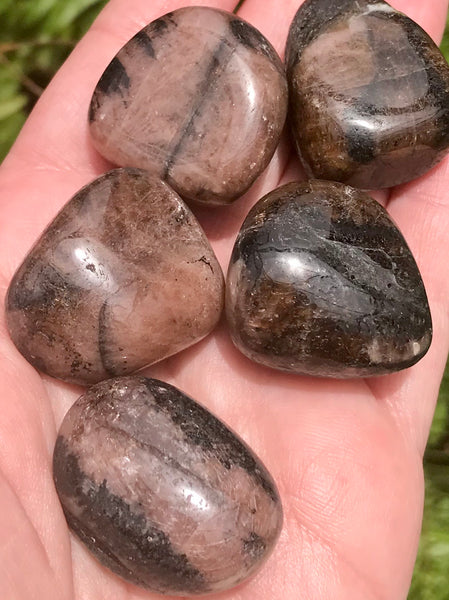 Chiastolite Tumbled Stones - Morganna’s Treasures 
