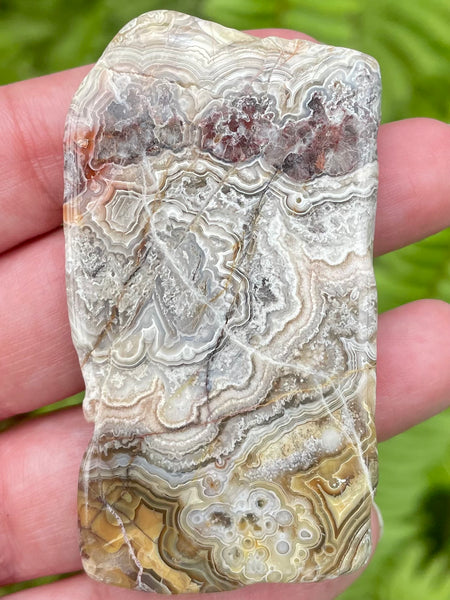 Crazy Lace Agate Palm Stone - Morganna’s Treasures 