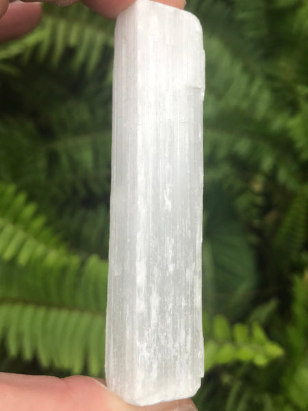 Selenite Stick Wand - Morganna’s Treasures 