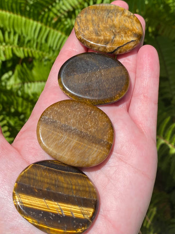 Tigers Eye Palm Stones - Morganna’s Treasures 