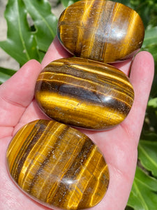 High Quality Tigers Eye Palm Stones - Morganna’s Treasures 