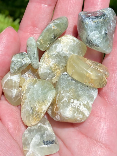 Prehnite Tumbled Stones - Morganna’s Treasures 