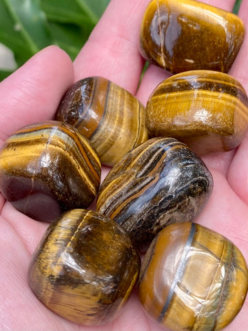 High Quality Tigers Eye Tumbled Stones - Morganna’s Treasures 