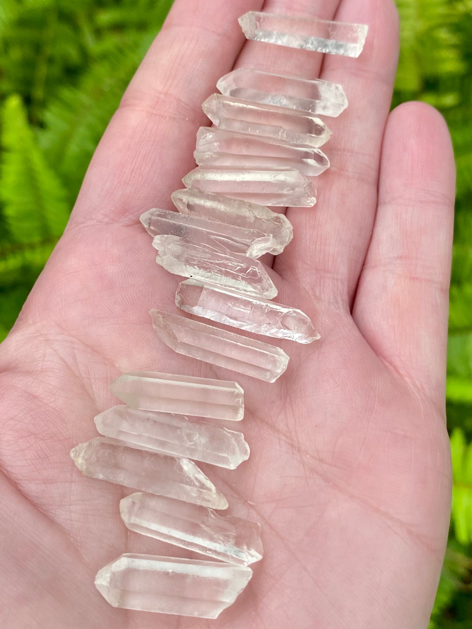 Small High Quality Lemurian Seed Quartz - Morganna’s Treasures 