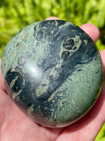 Large Kambaba Jasper Palm Stone - Morganna’s Treasures 