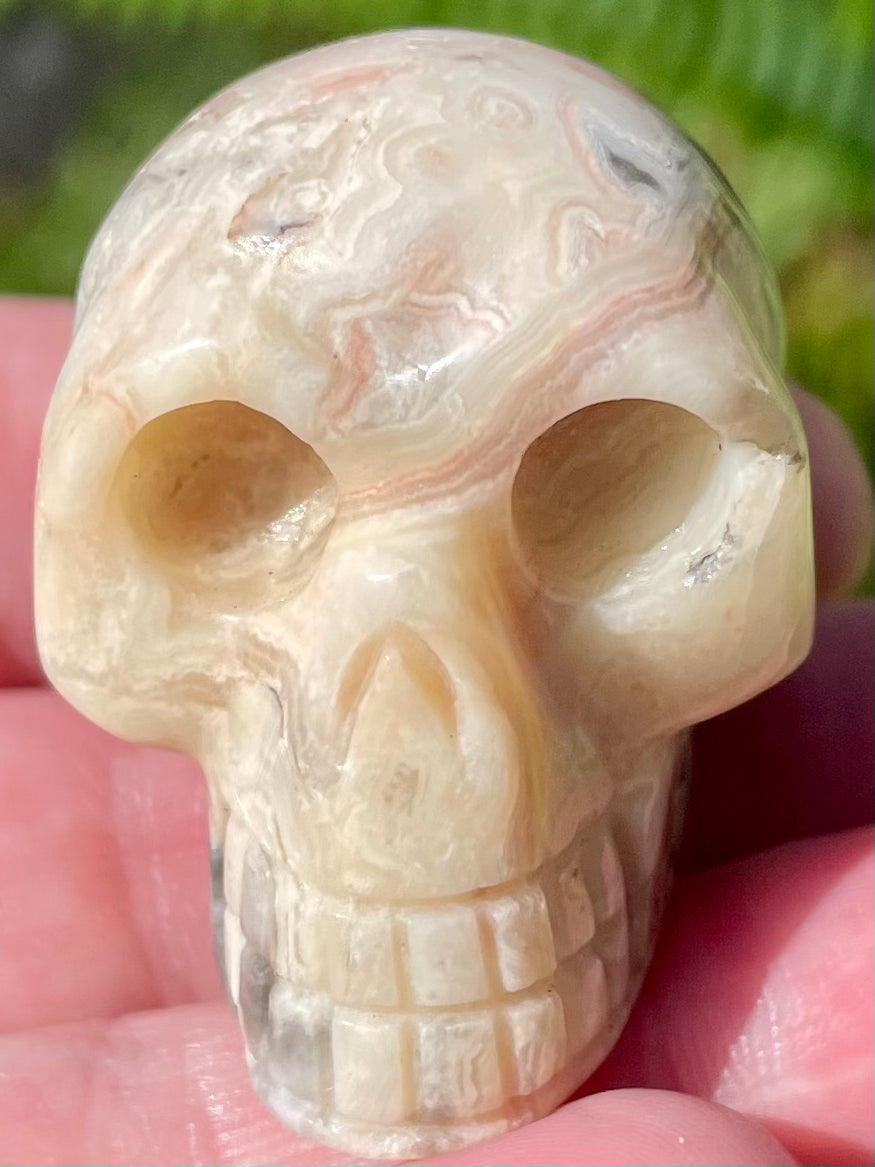 Carved Crazy Lace Agate Skull - Morganna’s Treasures 