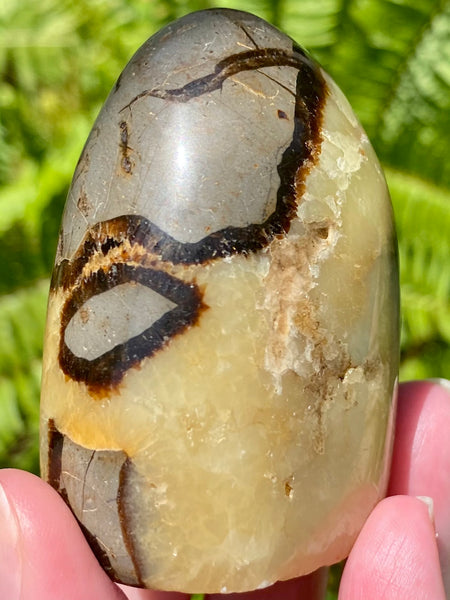 Septarian (Dragon’s Stone) Crystal Freeform - Morganna’s Treasures 