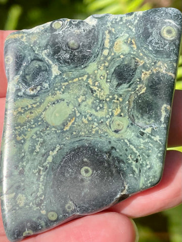 Kambaba Jasper Palm Stone - Morganna’s Treasures 